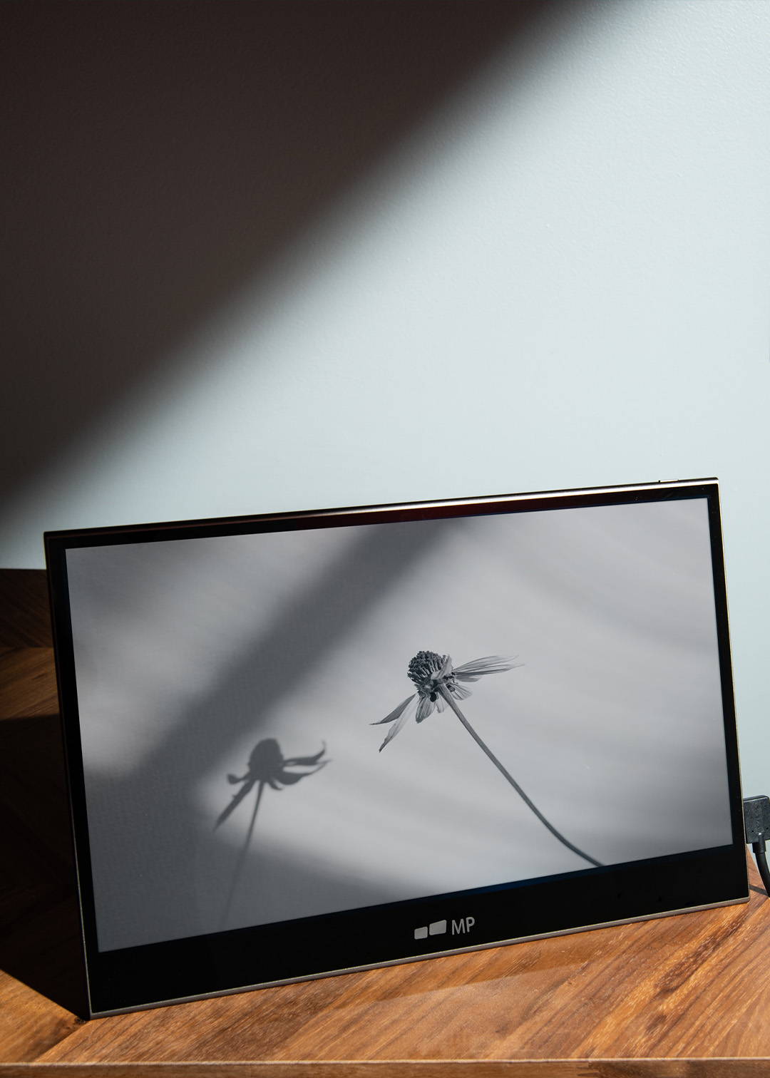 What is oled what does oled stand for mobile pixels